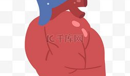 心脏漫画图片,揭秘心脏的奇妙世界