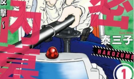 女警察漫画,正义与美丽的完美融合