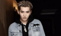 吴亦凡视频,揭秘明星背后的真实生活