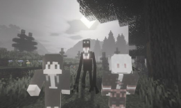 雾中人,探寻迷雾中的生命轨迹